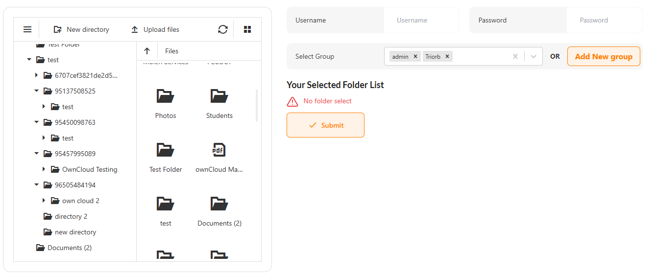 Search Interface